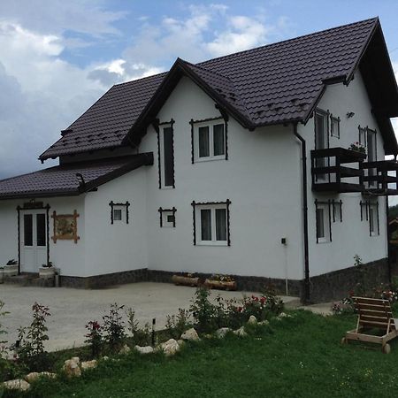 Elder Villa Bran  Dış mekan fotoğraf