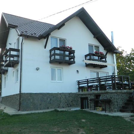 Elder Villa Bran  Dış mekan fotoğraf