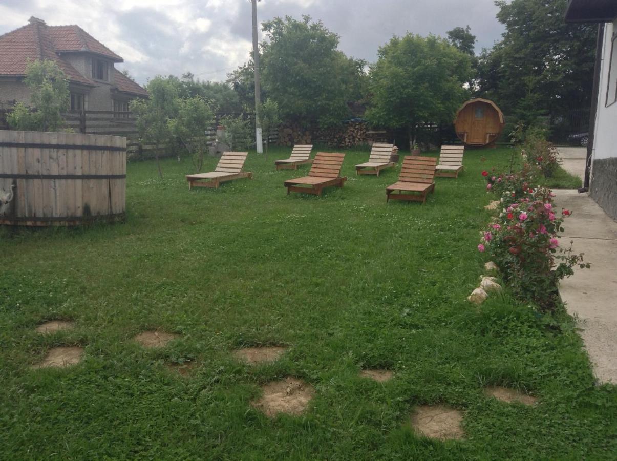 Elder Villa Bran  Dış mekan fotoğraf