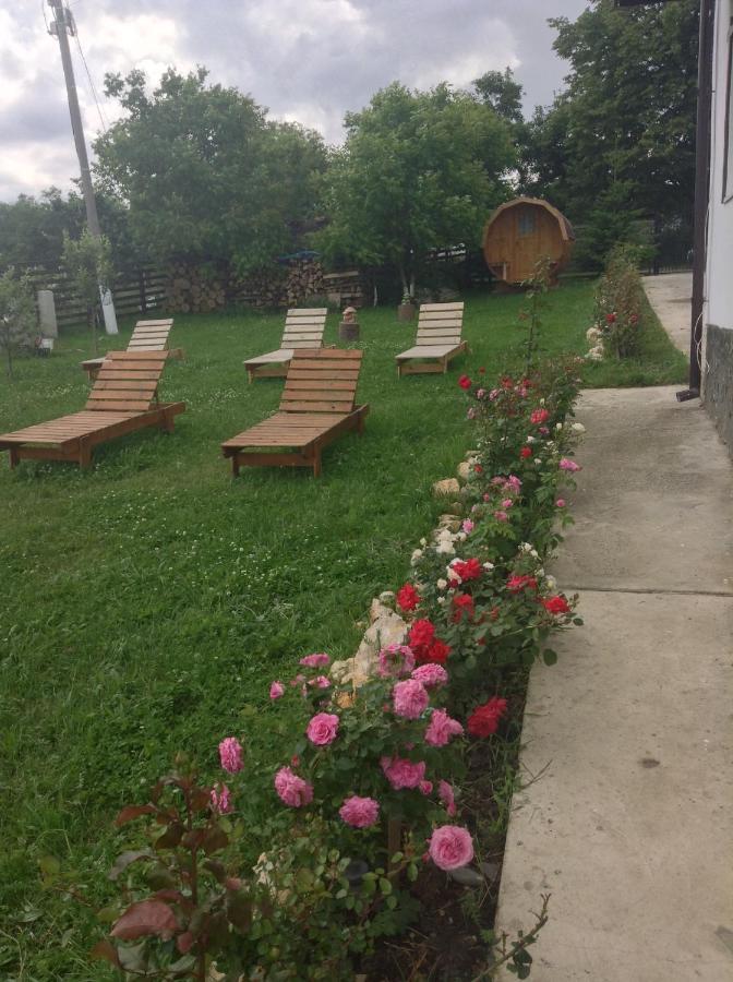 Elder Villa Bran  Dış mekan fotoğraf