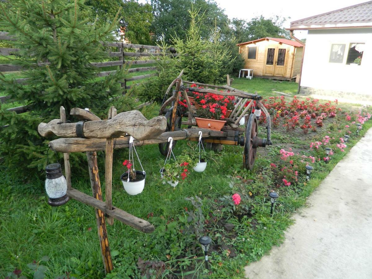 Elder Villa Bran  Dış mekan fotoğraf