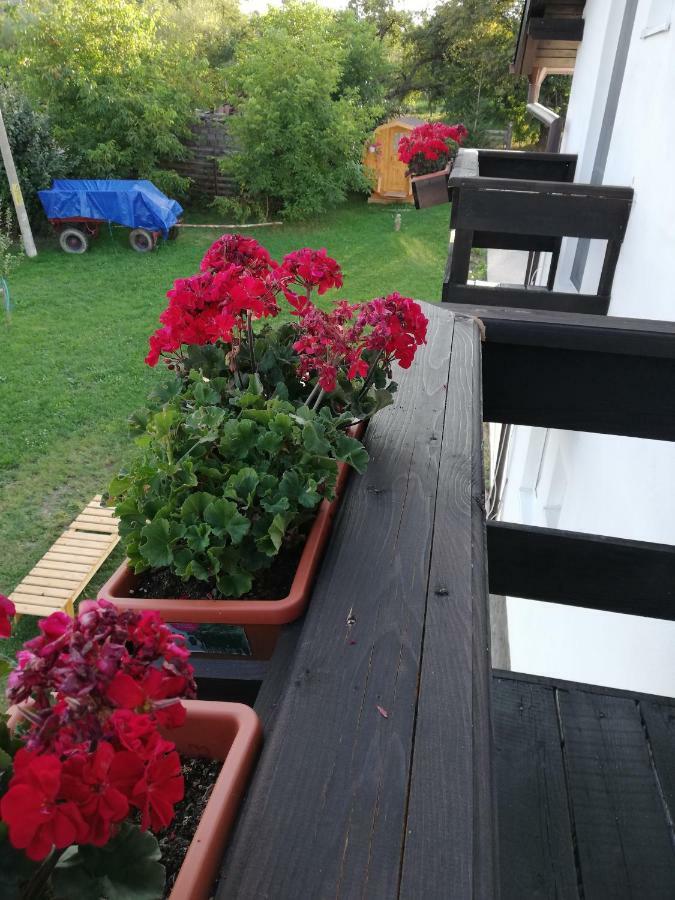 Elder Villa Bran  Dış mekan fotoğraf